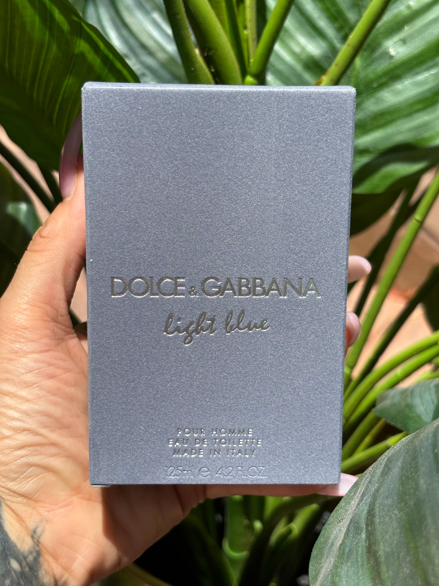 Dolce & Gabbana Light Blue Pour Homme
